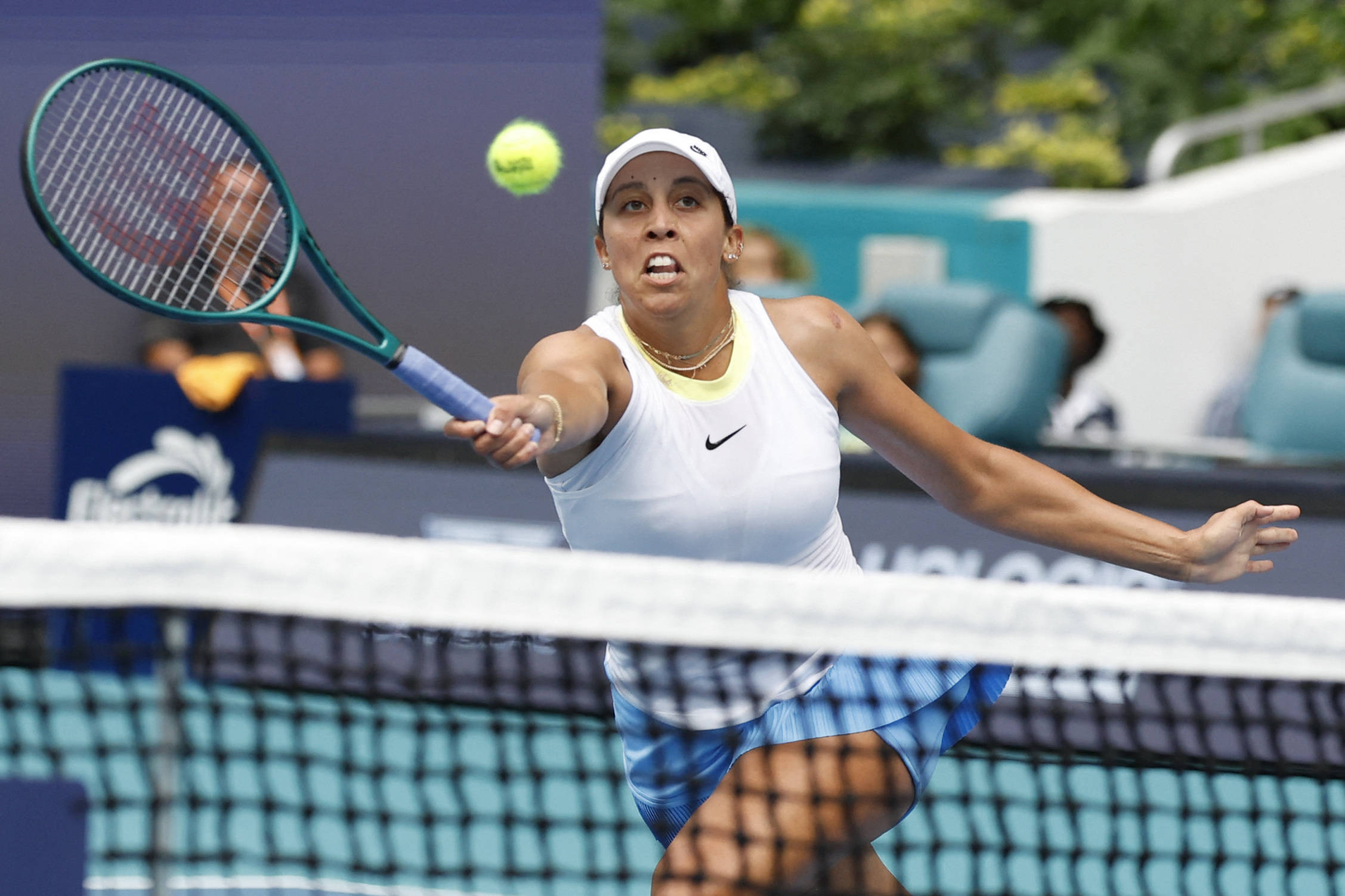 极大丰富了 极大丰富了