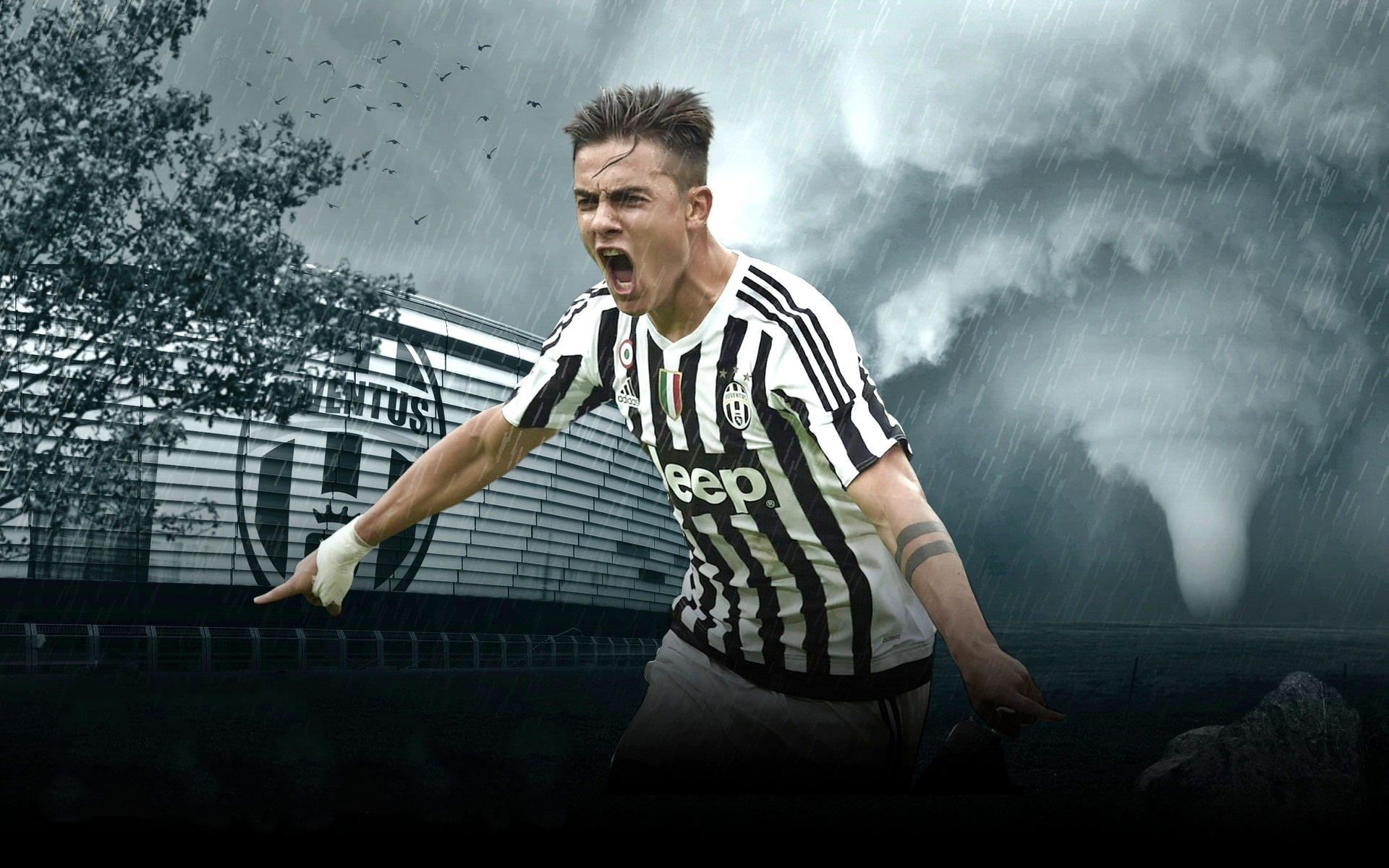 与他强调的 与他强调的