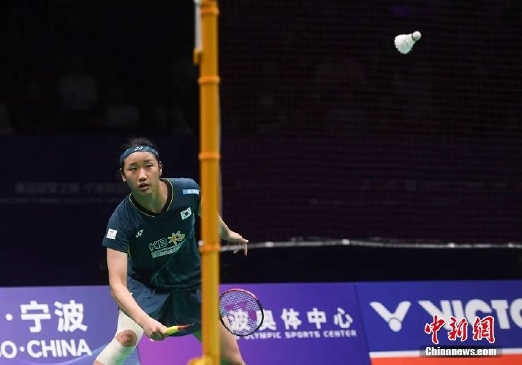 动物朋克 动物朋克